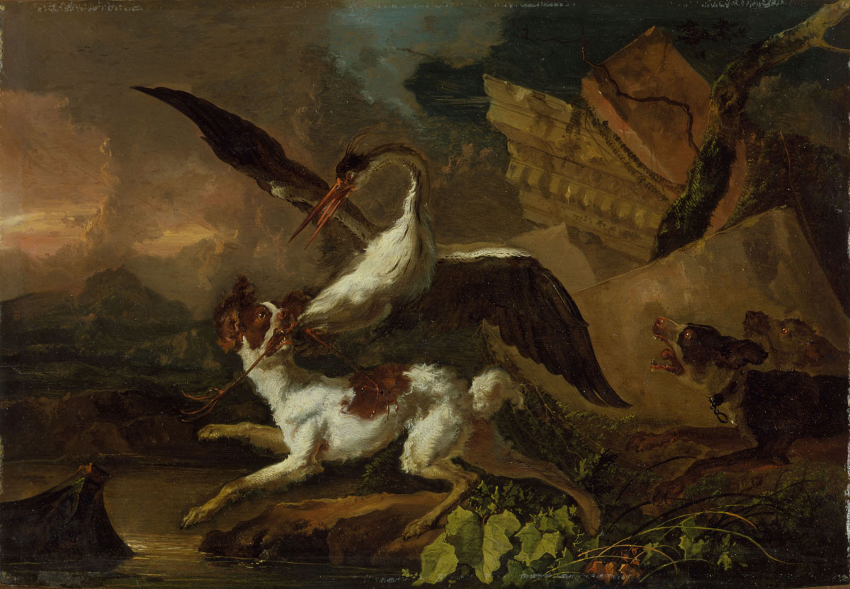 Un héron pourchassé par des chiens